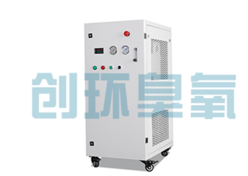 安徽石斑鱼养殖水质调控完整指南：臭氧发生器配置与操作步骤