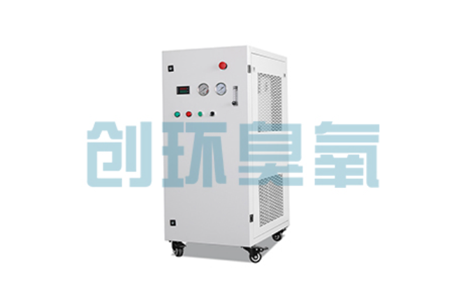 安徽比传统换水更高效？臭氧发生器在石斑鱼养殖中的水质净化原理解析